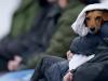 Annie Chave: Cold weather, warm embrace! County cricket returns